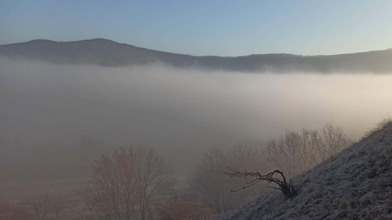 Krótkie wyjaśnienie zjawisk pogodowych: Jak właściwie powstaje mgła?