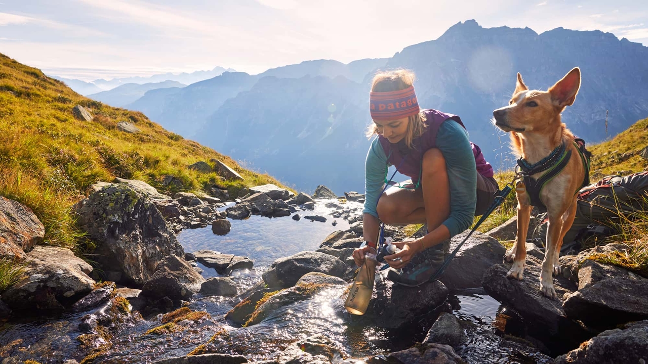 Alpenoversteek: München - Verona: met je hond de Alpen oversteken