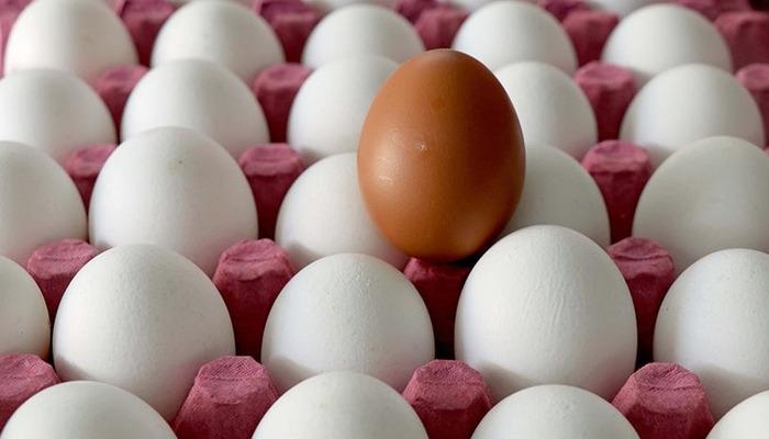 Epidemic alert issued: Egg poisoned 95 people! Alarm issued in that region...