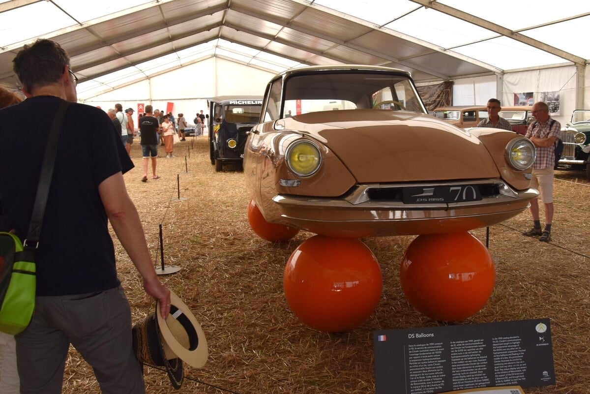 Citrodays jest również w Champaubert