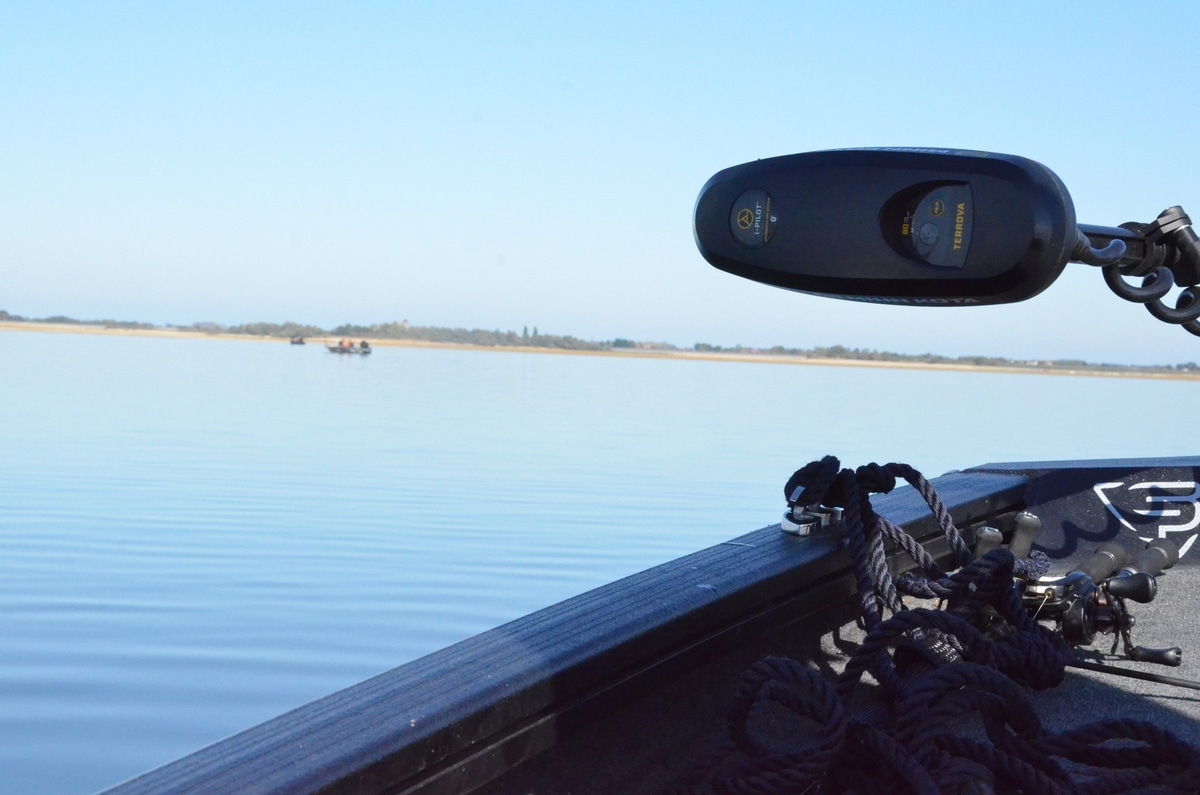 Avian influenza: Fishermen of the Der asked to pack up their rods