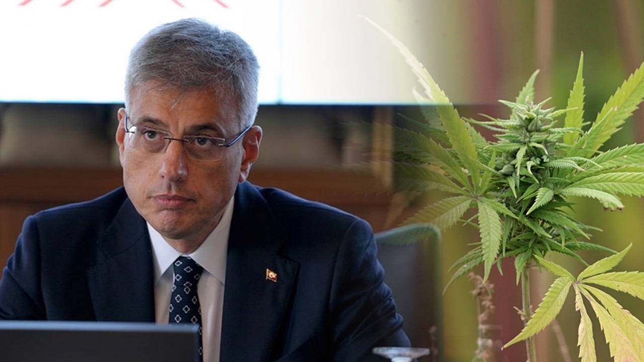 Sağlık Bakanı Memişoğlu açıkladı: Kenevir hangi hastalara verilecek?