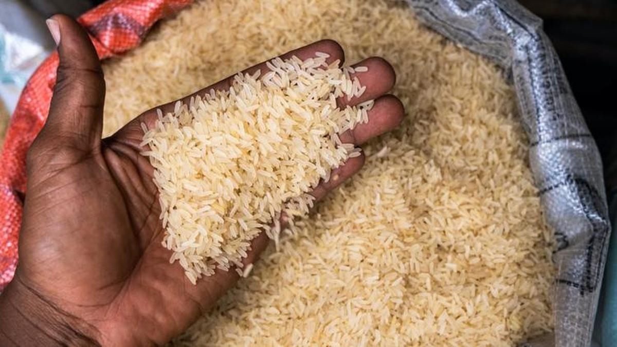 Calentamiento global: ¿se convertirá el arroz en un alimento peligroso?