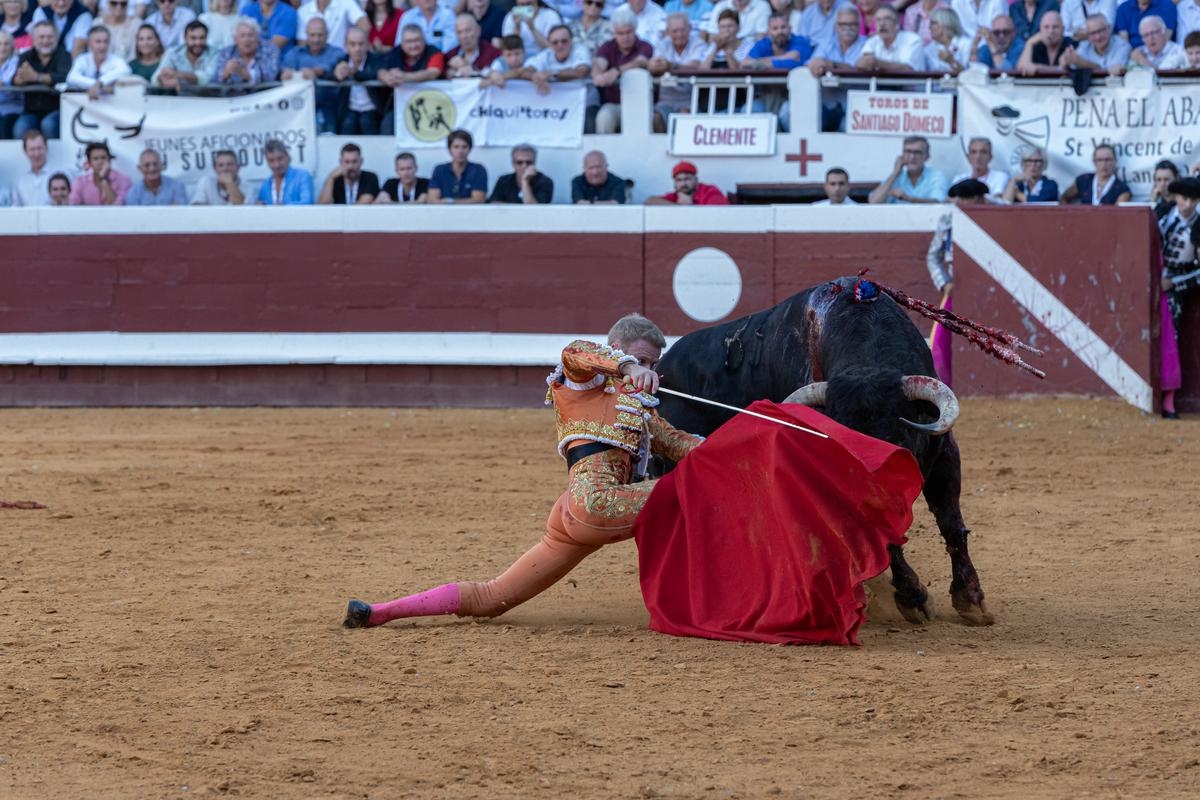 Toros y salsa 2025 en Dax: ecos del callejón taurino del domingo 14 de septiembre