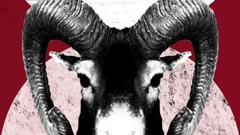 Maandelijkse horoscoop voor Ram: wat je sterrenbeeld deze maand kan verwachten