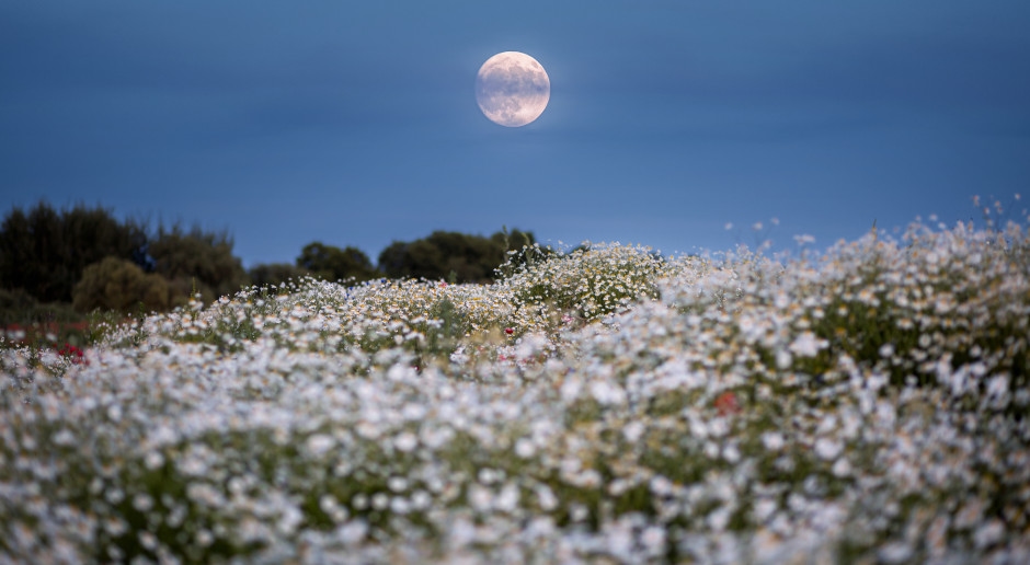 The August full moon is coming. It will bring a battle between two zodiac signs.