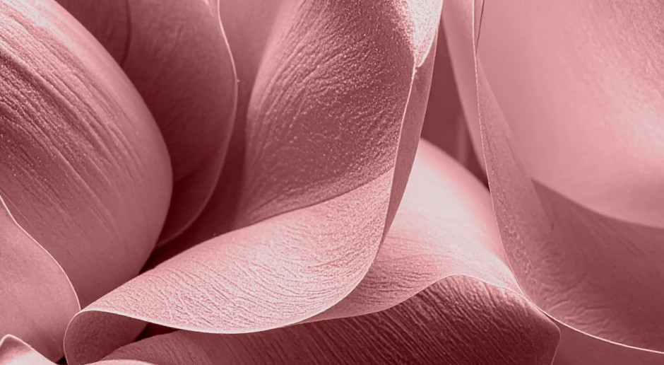 Pantone ha annunciato i 10 colori più alla moda per la primavera 2026. Uno di questi è il "rosa fumoso"