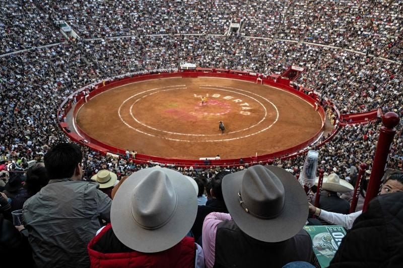 Aufgrund neuer Gesetze finden auf der Plaza México keine Stierkämpfe statt: „Ohne Gewalt ist das Spektakel nicht durchführbar.“