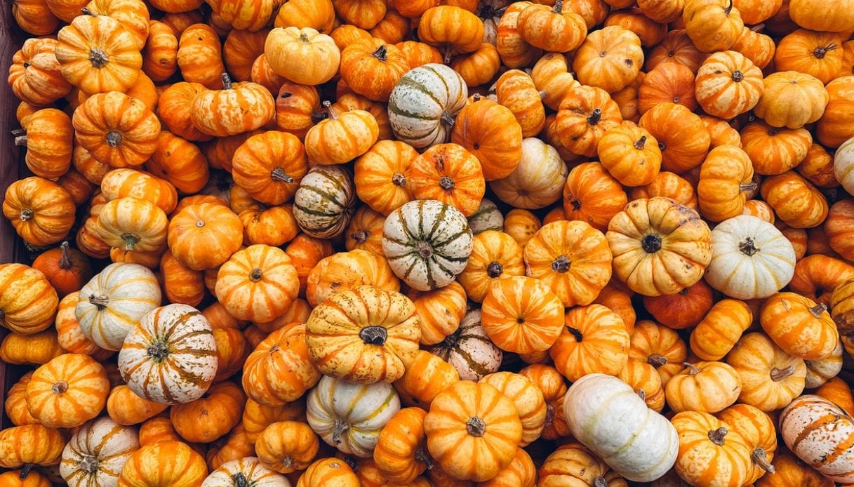Festivales de la calabaza en Italia: eventos para el otoño de 2025
