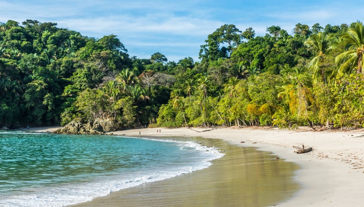 Droom van warmte: hierheen gaan met Kerstmis 2025 om de winter te ontvluchten.