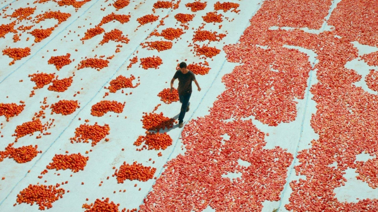 Türkiye'nin Oscar adayı filmi belli oldu