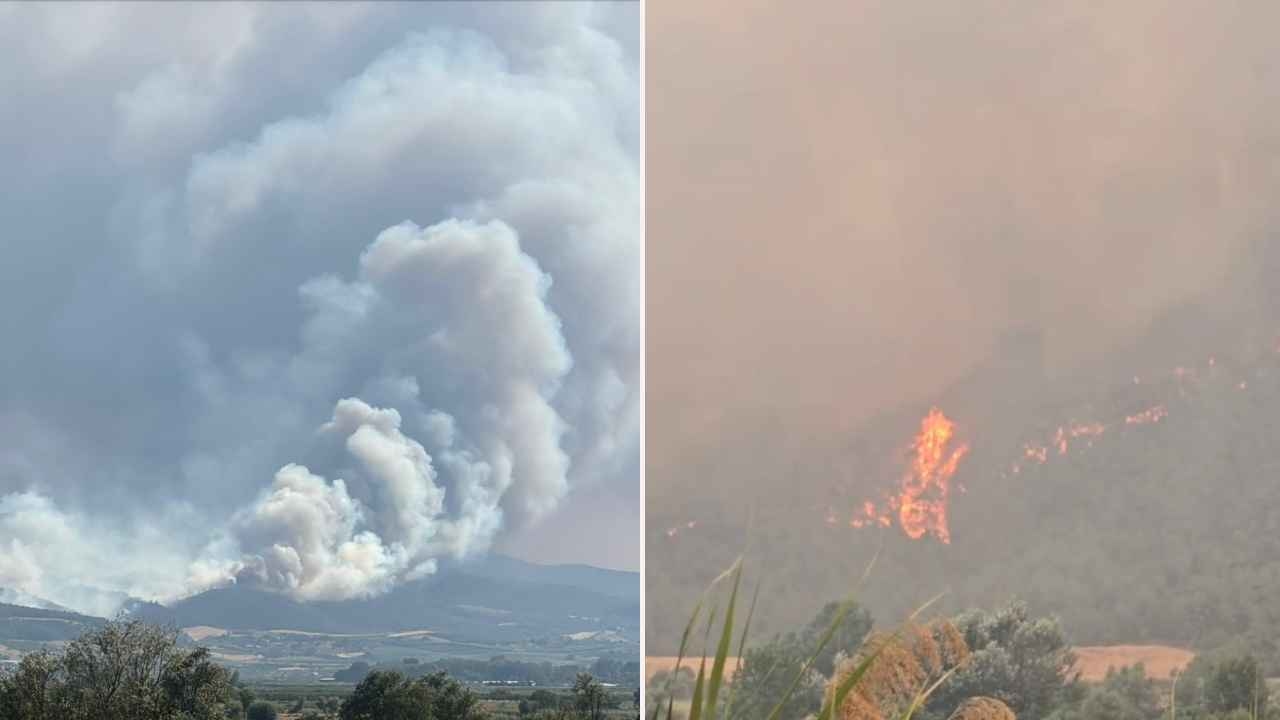Sakarya'da yeni yangın çıktı, Bilecik'te alevler yayıldı!