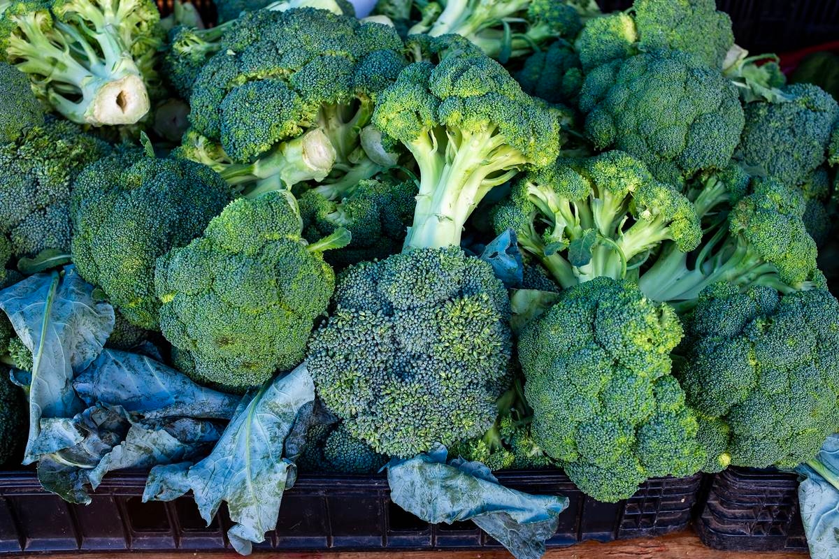 Une nutritionniste explique quel type de brocoli est le meilleur pour votre santé