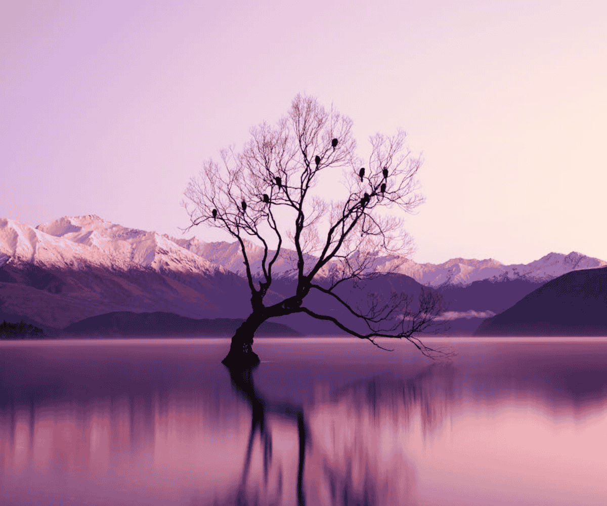 Slow luxury travel: New Zealand’s photography destinations