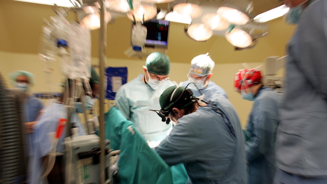 Ahora es posible realizar trasplantes de receptores infectados con hepatitis C a receptores negativos.