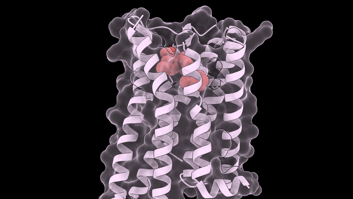 Evidence of a universal lockpick against rare diseases