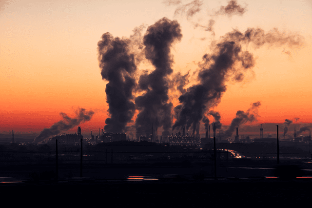BM, CO₂ konsantrasyonunun 2024'te rekor seviyelere ulaştığı konusunda uyarıyor