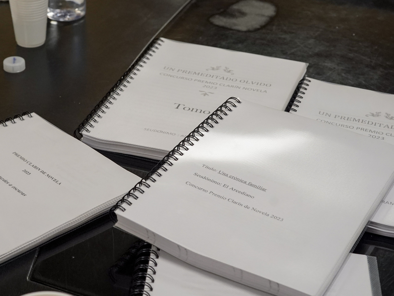 Record participation in the Clarín Novel Prize: 1,284 manuscripts received