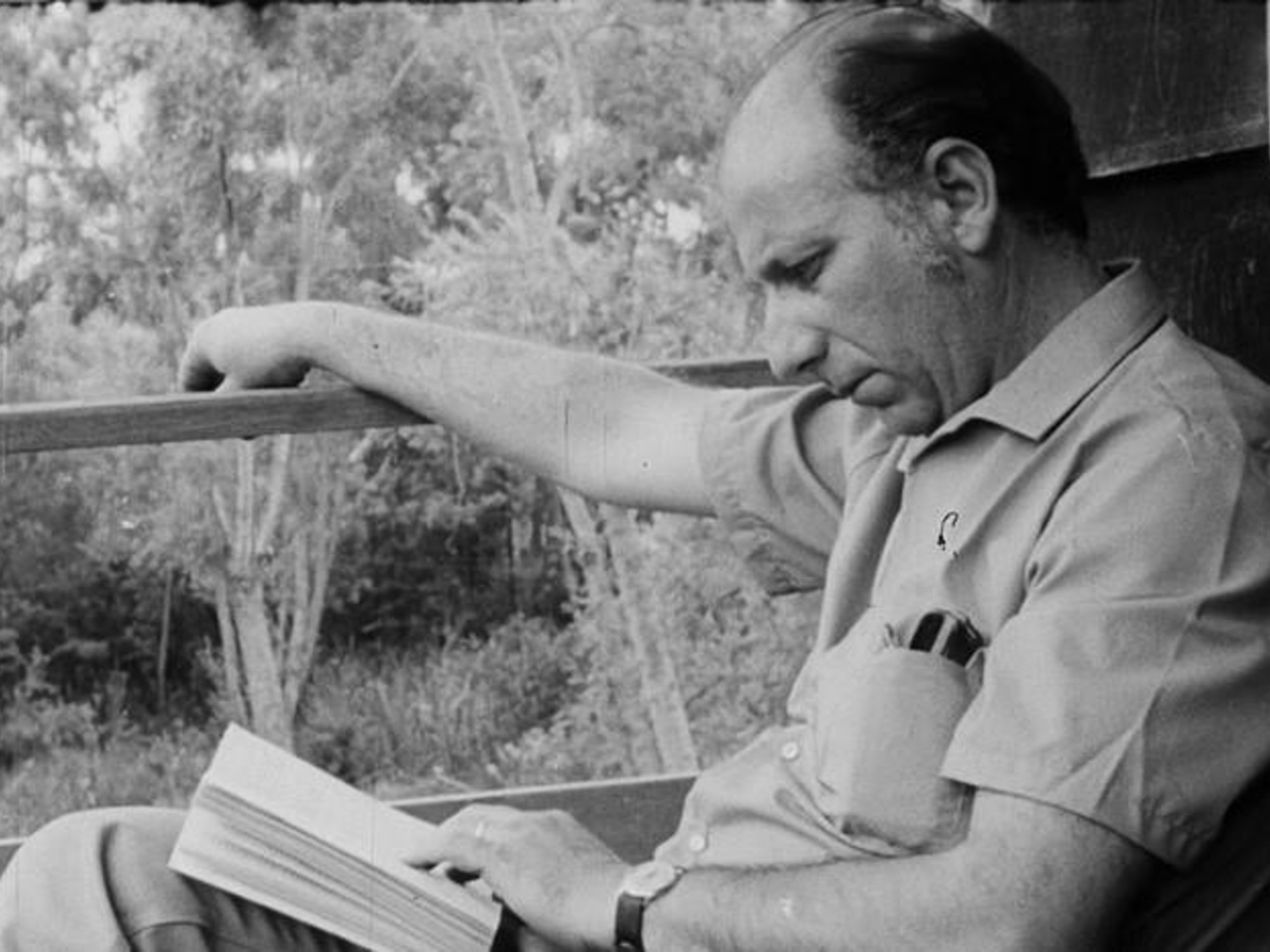 As armas de Haroldo Conti