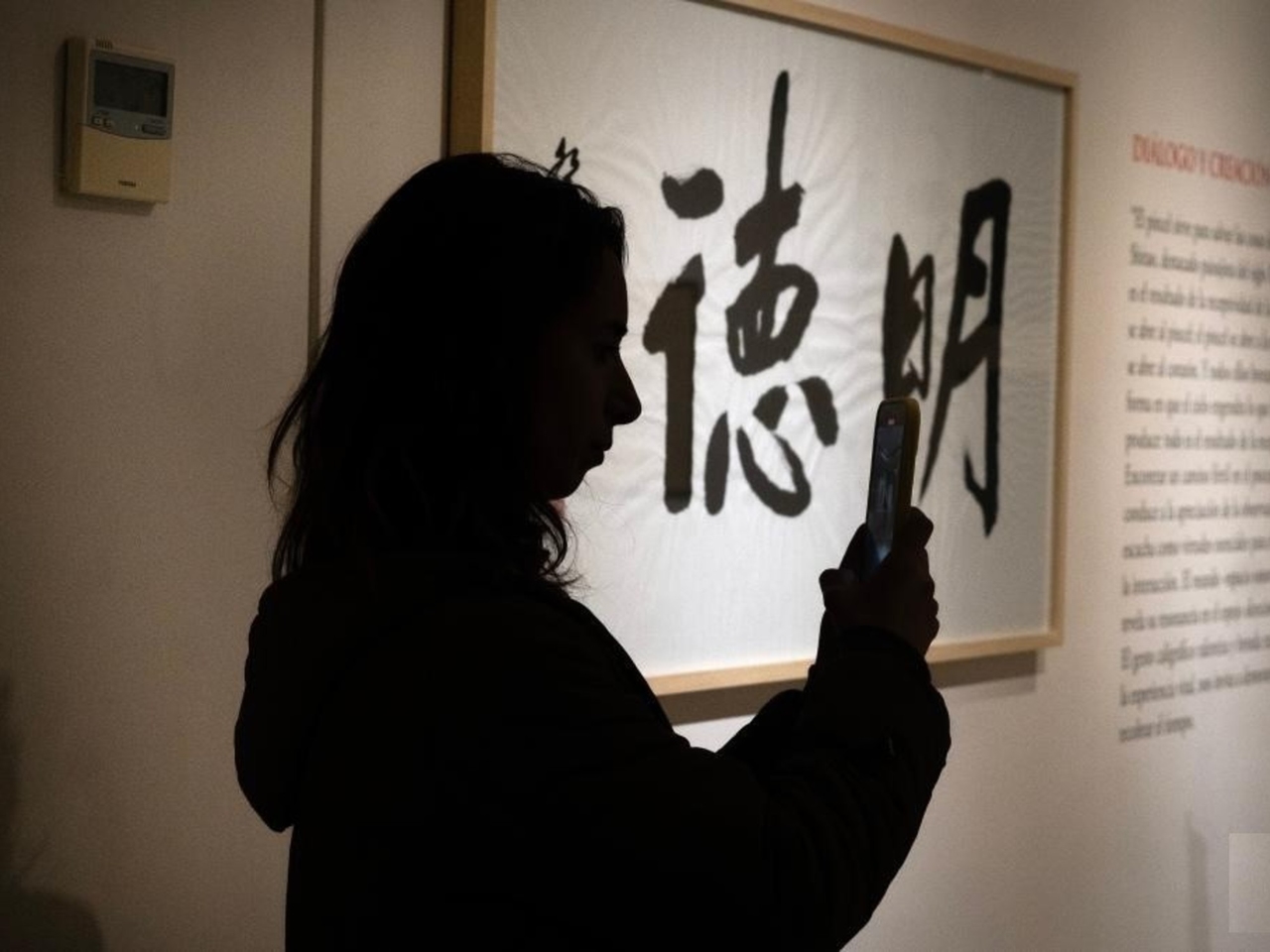 Arte e tradizione cinese: calligrafia antica in una mostra gratuita a Buenos Aires