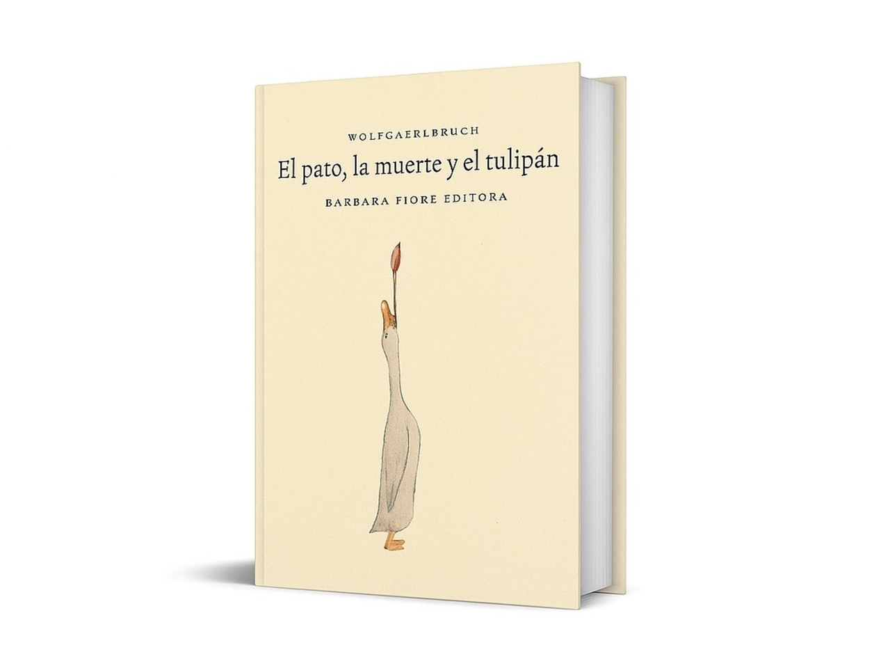 Çocuklarla okunacak bir kitap: Bugünün önerisi Bianca Editions'tan Fernanda Argüello'dan