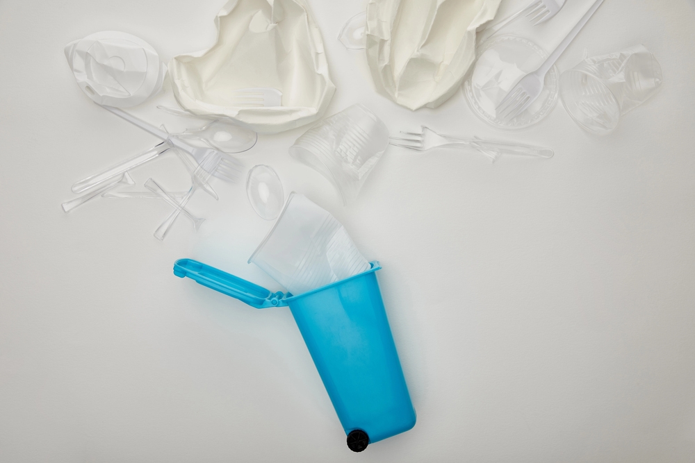Dixie Cups, CAFE-Standards und Rechnen
