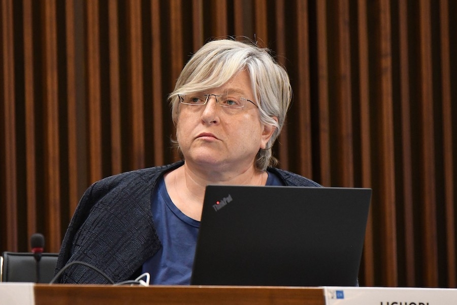 Liguori: "A pediatric hospice to fill a human void."