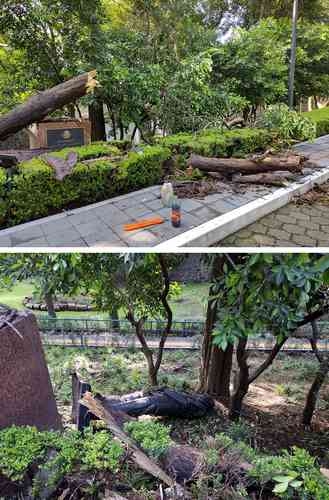 Calderóns Statue wird in Los Pinos „für die Geschichte des Ortes“ neu aufgestellt
