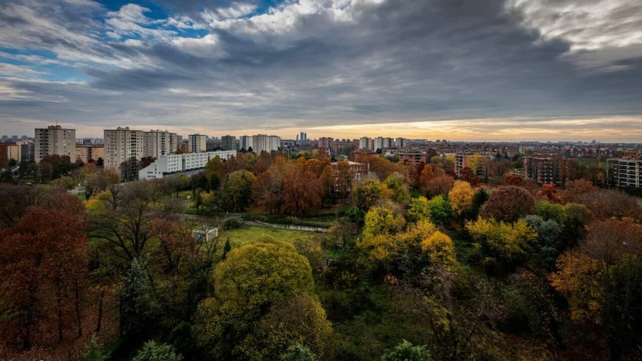 Arranha-céus de 17 andares e florestas que desaparecem: os megaprojetos de construção na periferia do Parque Sul.