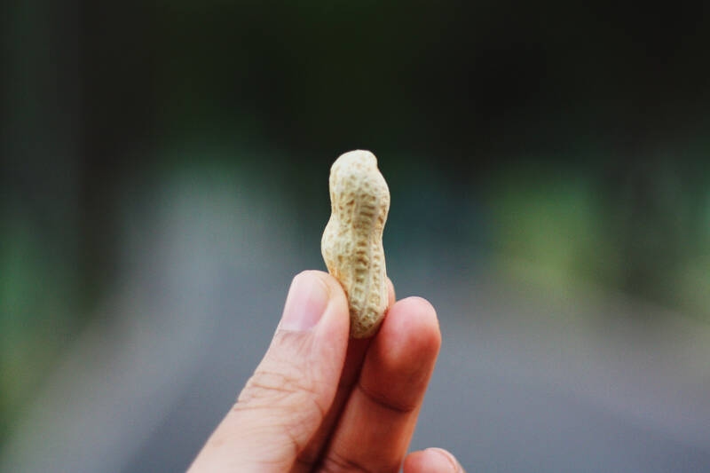 Peanut allergy: Blood test could predict effectiveness of oral immunotherapy