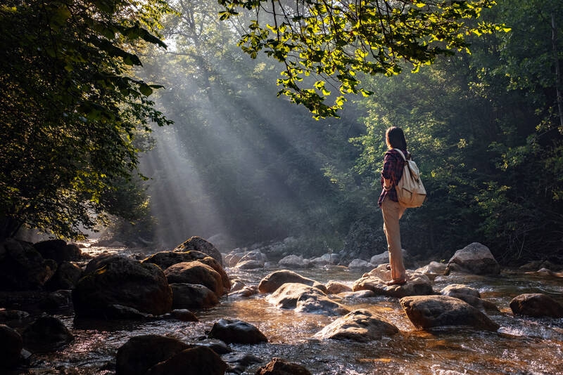 Natura e salute: quale tipo di foresta è particolarmente curativo?