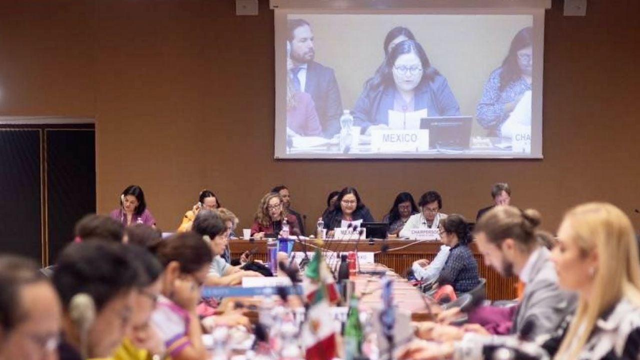 STK'lar, Sheinbaum'a BM Kadına Yönelik Ayrımcılığın Önlenmesi Komitesi'nin tavsiyelerine uyması çağrısında bulundu.