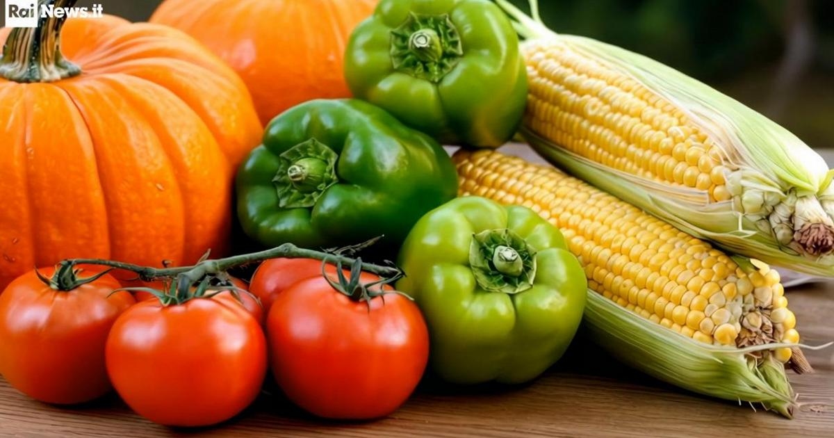 Longevidad: Estos son los alimentos de otoño para un corazón sano.