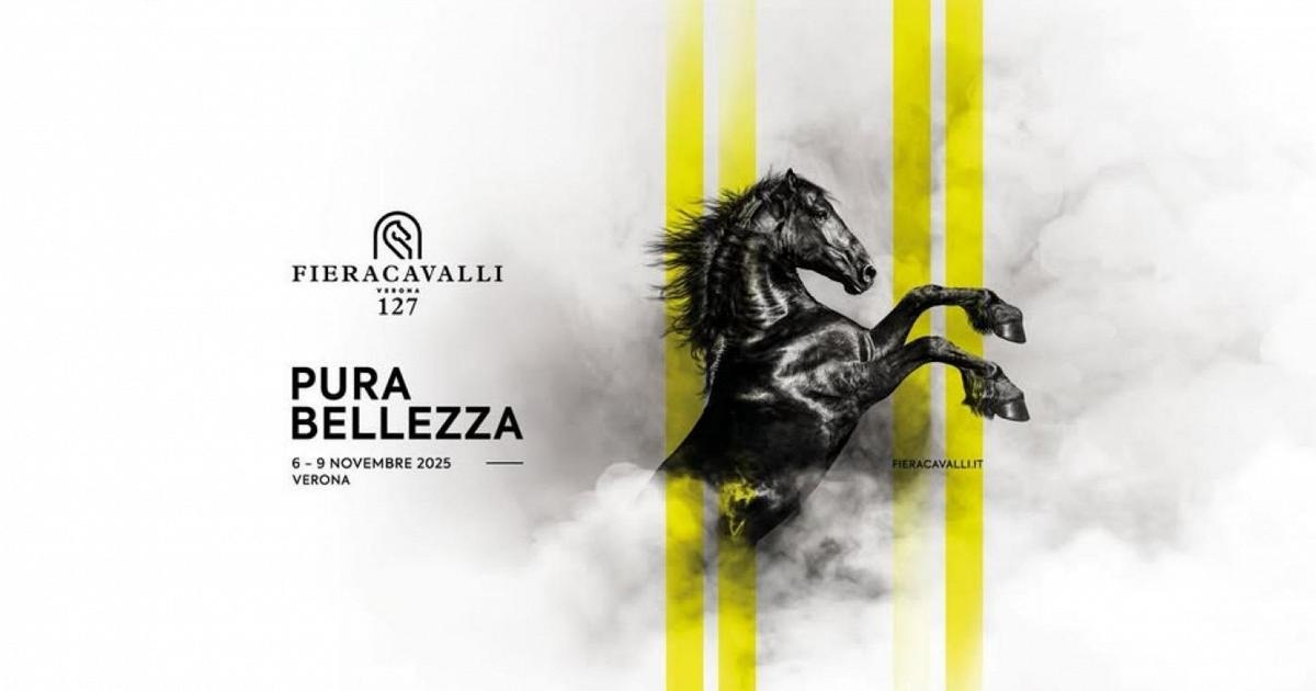 FieraCavalli, now in its 127th edition, tells the equestrian world from all angles and is aimed at everyone.
