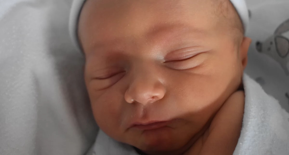 LIFE'S BABIES (baby's met nr. ŻP 32 van 6 augustus)