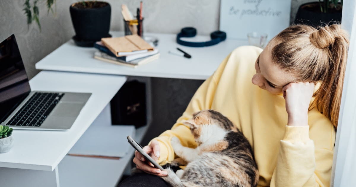 Health. Do you often procrastinate? We explain why.