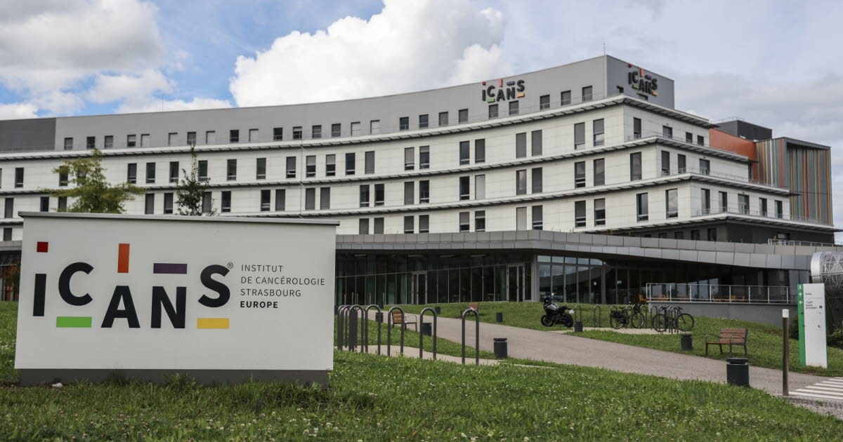 Sağlık. Gençlerde ve genç yetişkinlerde kanserler: Daha iyi anlamak için Strazburg'da bir konferans