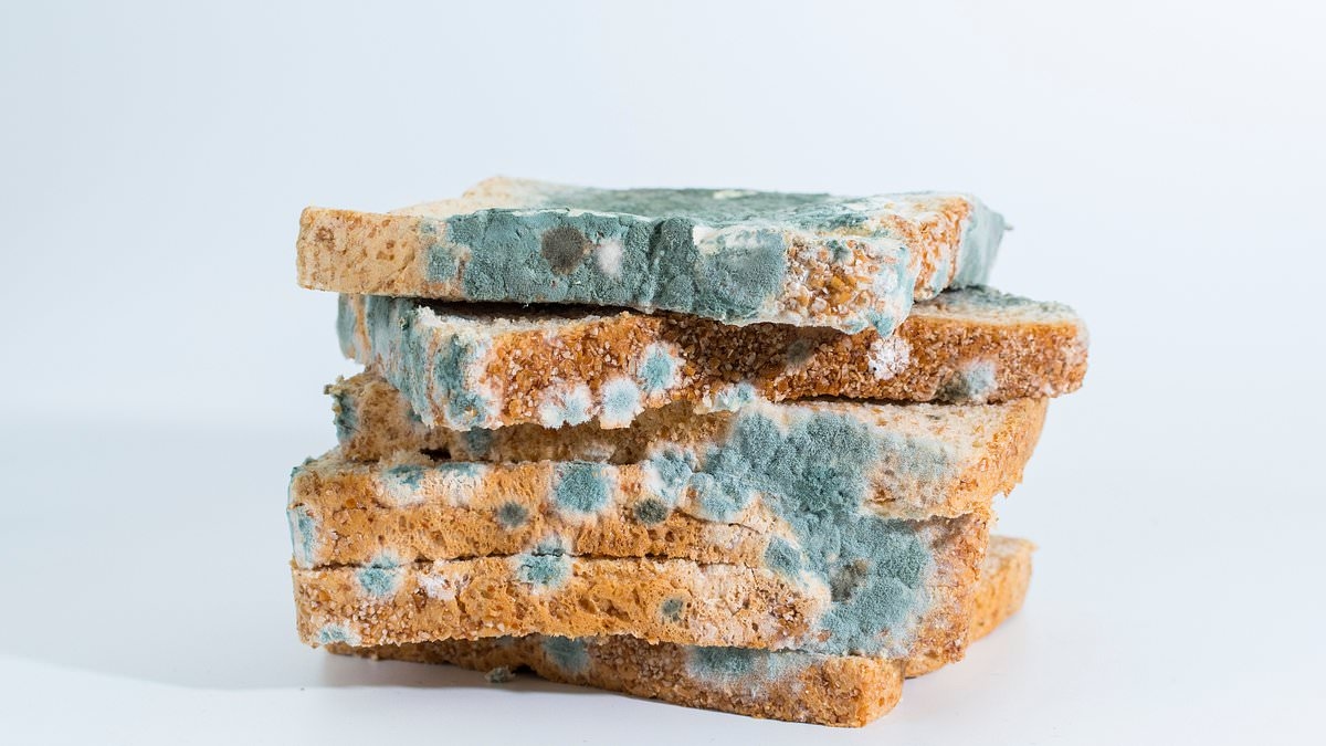 Toxicologist names the foods you should NEVER eat once mouldy: It could lead to organ damage or cancer
