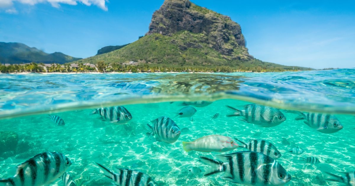 В этом году я побывал в 12 странах — 1 не оправдала ожиданий