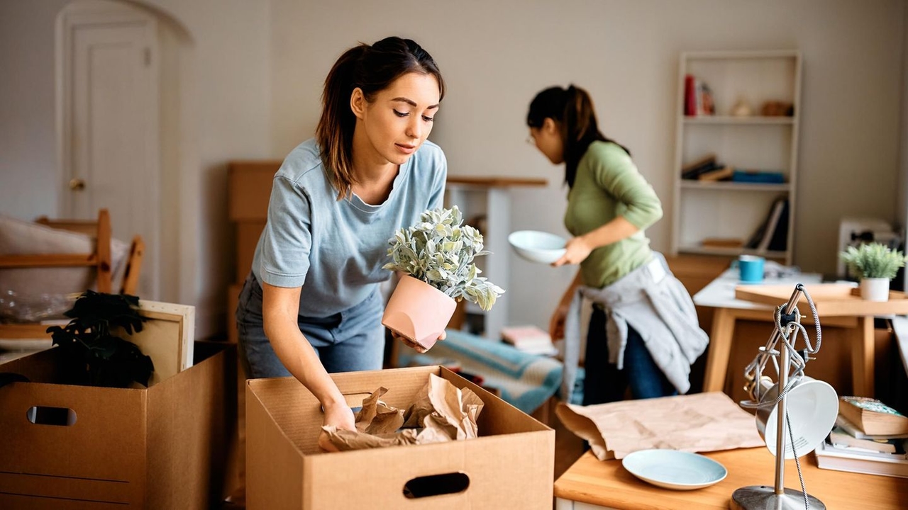 According to AI: 5 things that moving more than 5 times reveals about your character