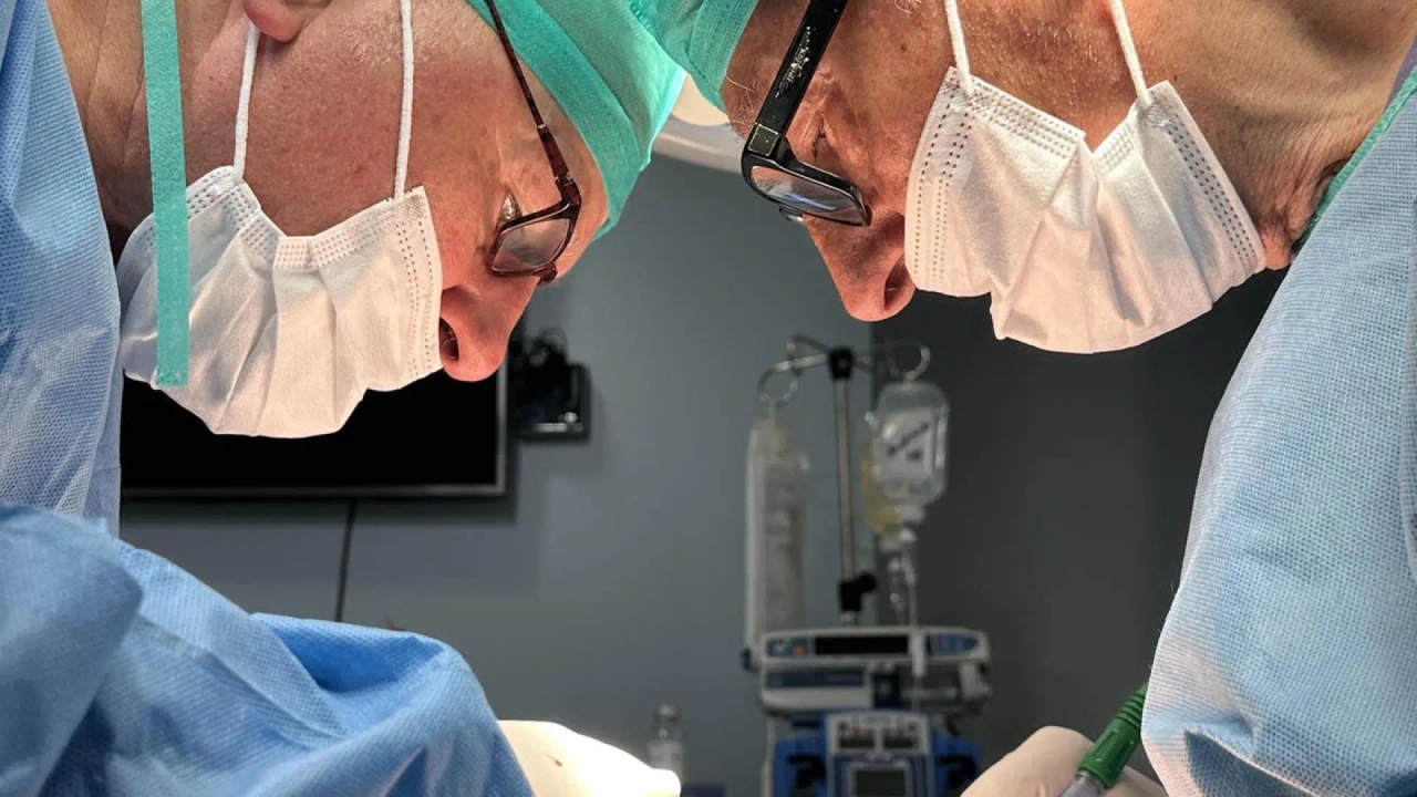 İnsan organoidleriyle modifiye edilmiş böbreklerin domuzlara ilk nakli gerçekleştirildi