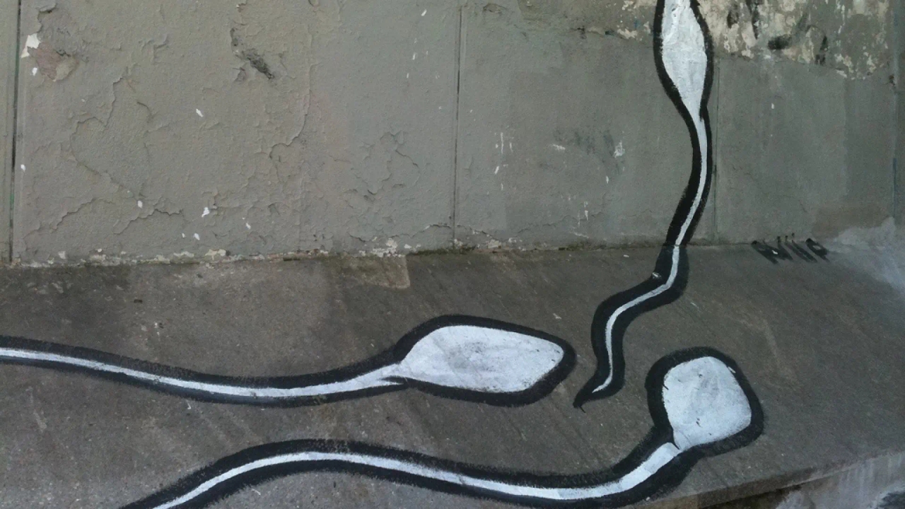 Udaje im się osiągnąć niemożliwą ciążę dzięki selekcji plemników za pomocą sztucznej inteligencji