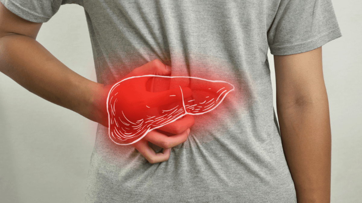 Identificata una proteina come possibile bersaglio terapeutico per prevenire la formazione di tessuto adiposo