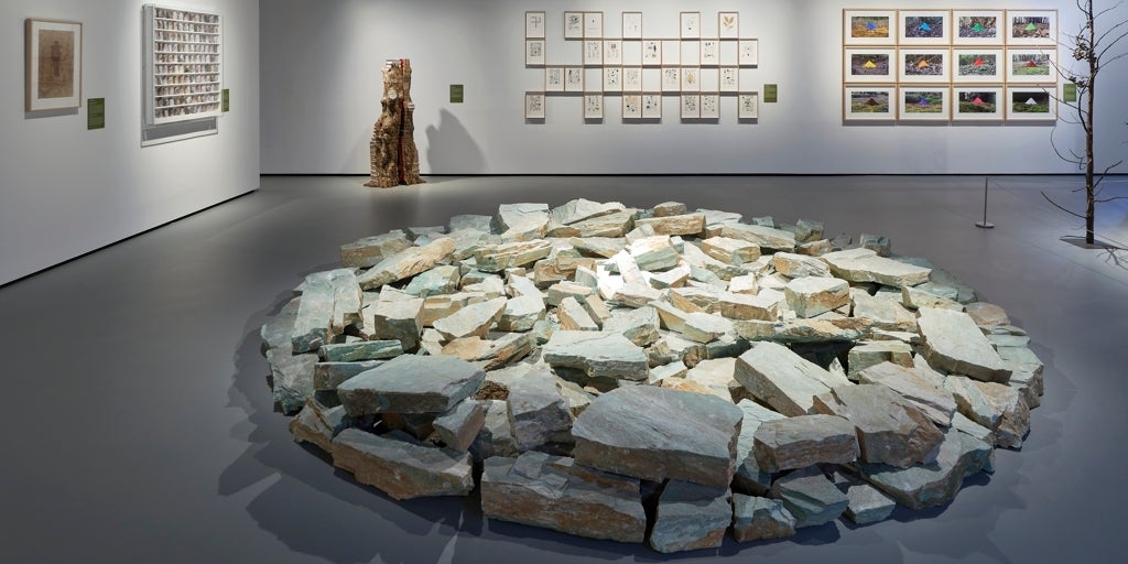 The natural route of the Masaveu Foundation towards Morasverdes