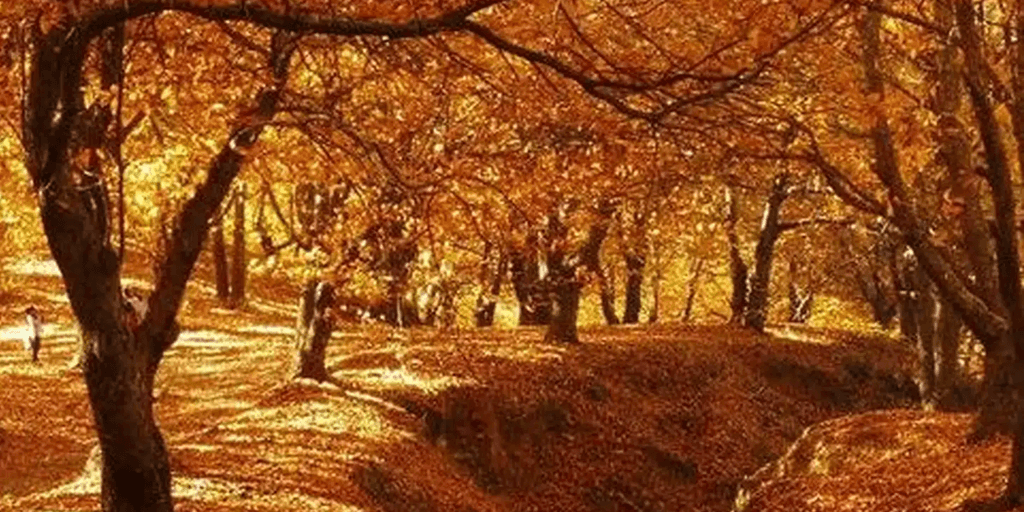 Il villaggio di Malaga perfetto per l'autunno: ha una "giungla" arancione e solo 300 abitanti