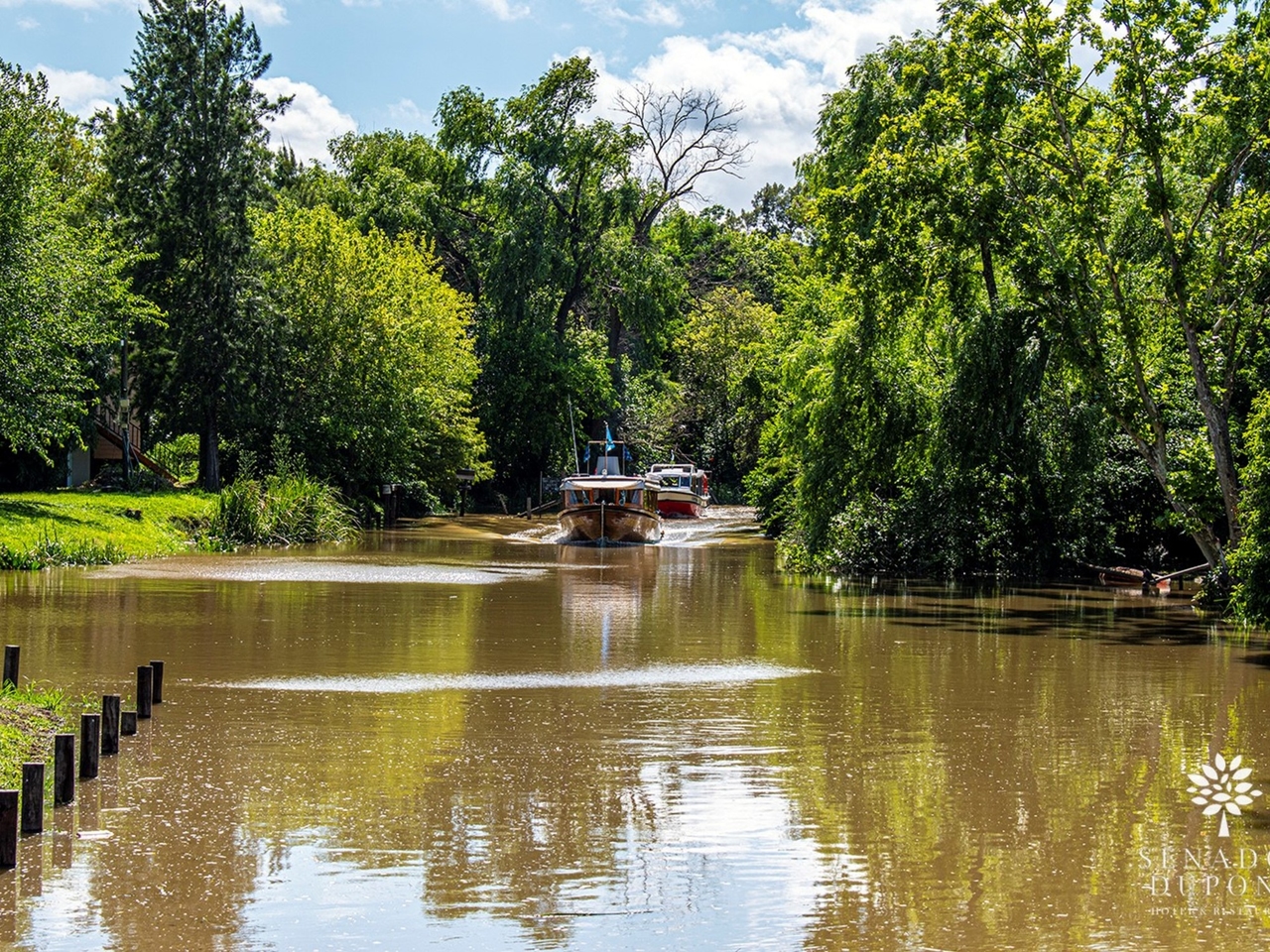 Прогулка на каяке, день на острове с треккингом и отдыхом или отель «все включено» со спа-центром: 5 вариантов отдыха в дельте реки Тигре