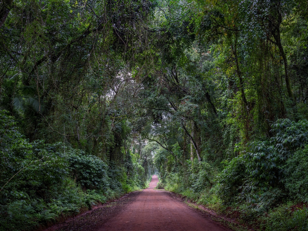 Оазис роскоши в тропических лесах Мисьонес: впечатляющий коттедж, где каждая вилла имеет собственный бассейн, а экскурсии разрабатываются индивидуально.