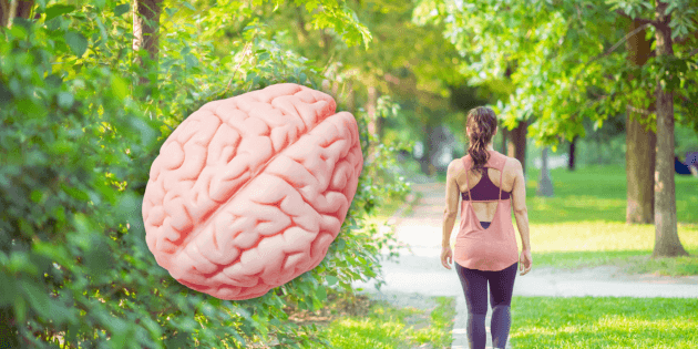 How much should we walk to keep our brain healthy?