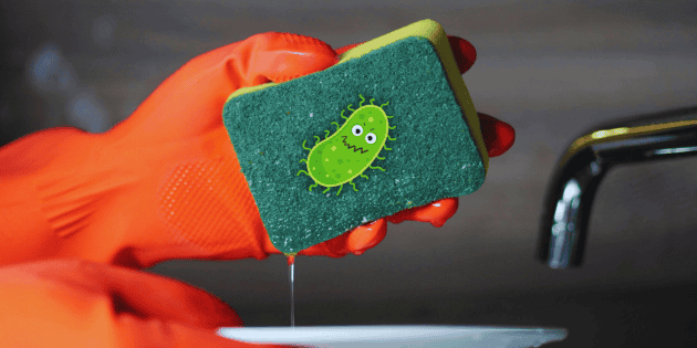 How often should a kitchen sponge be replaced?